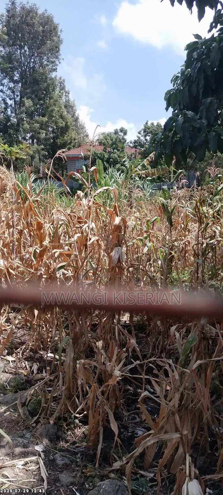 100by100 Plot for Sale in Kiserian Kahuho