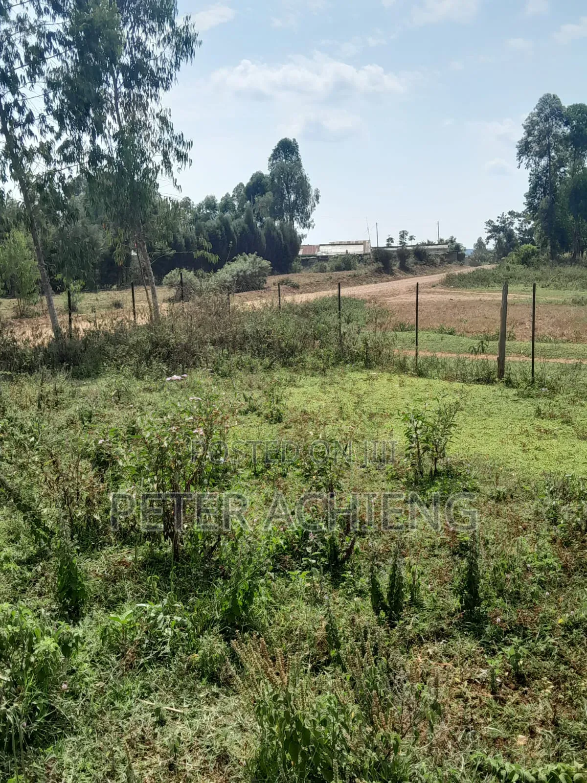 0.5 Acres at Karapul Siaya