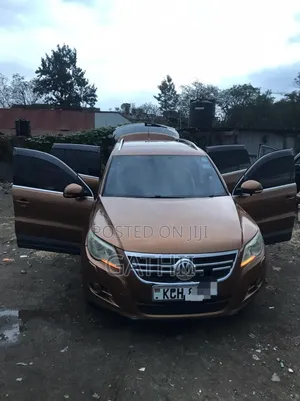 Volkswagen Tiguan 2010