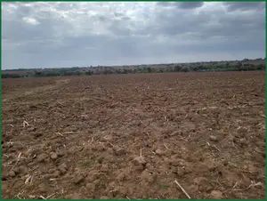 14-Acre Agricultural Farm for Sale in Nairaserasa Near Narok — 14M