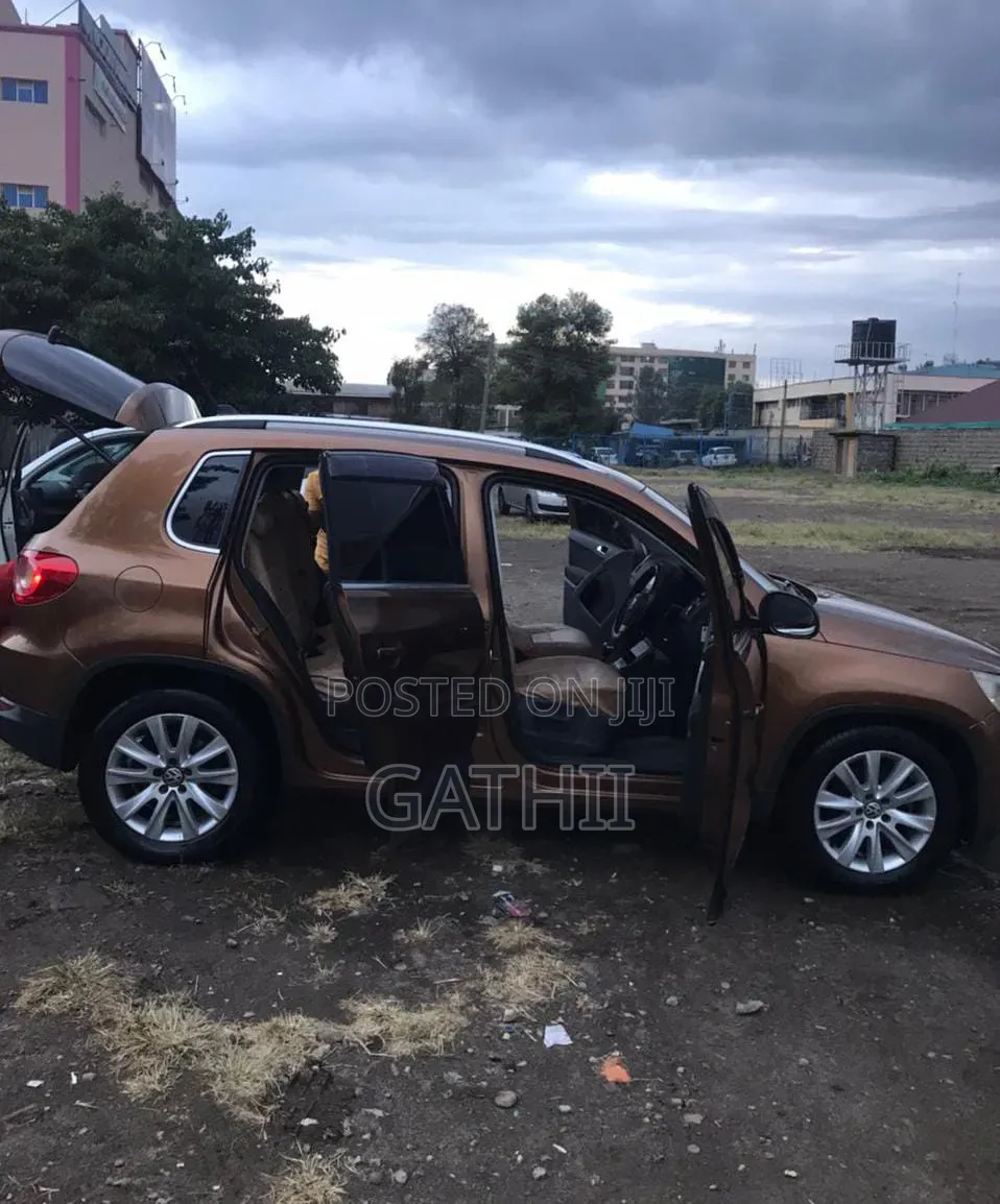 Volkswagen Tiguan 2010