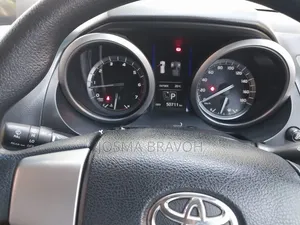 Toyota Land Cruiser Prado 2017 Gray