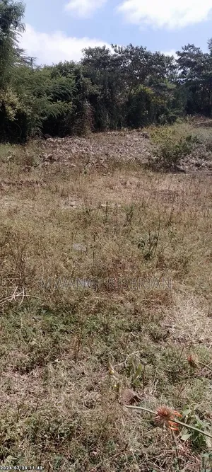 Half an Acre for Sale in Kiserian Kahuho