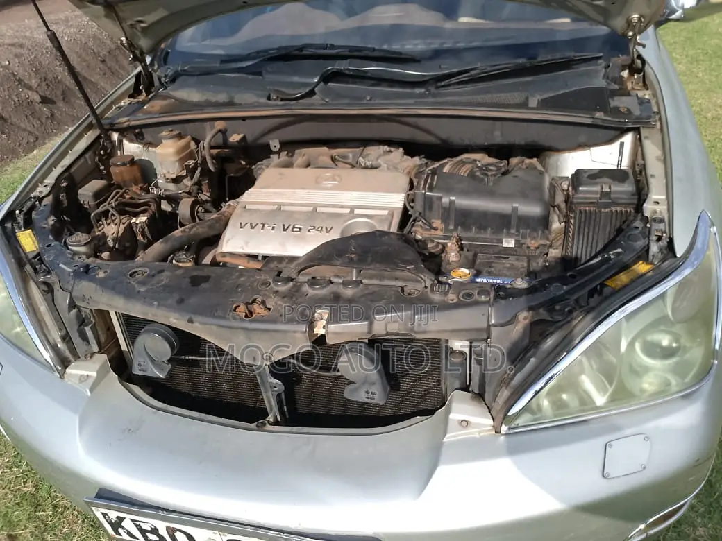 Lexus RX 2004 Silver
