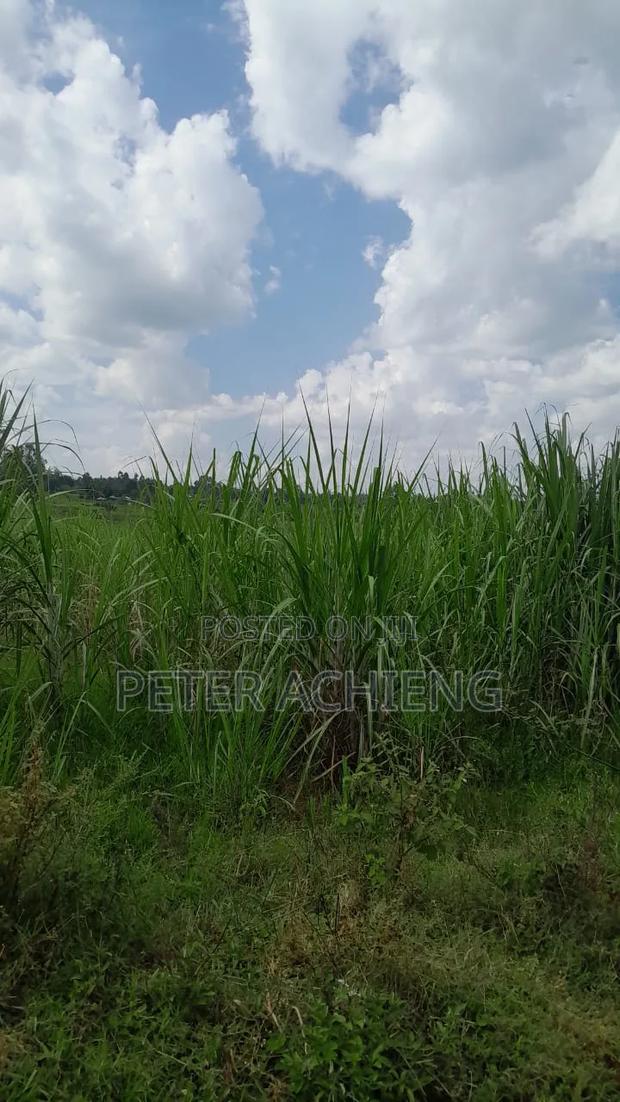 2 Acres in Alego Krindo With Sugar Plantations