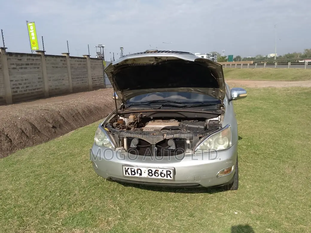 Lexus RX 2004 Silver