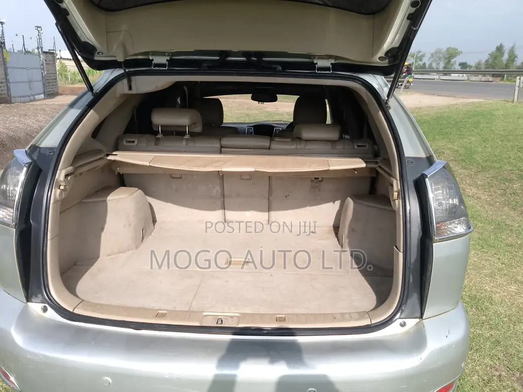 Lexus RX 2004 Silver