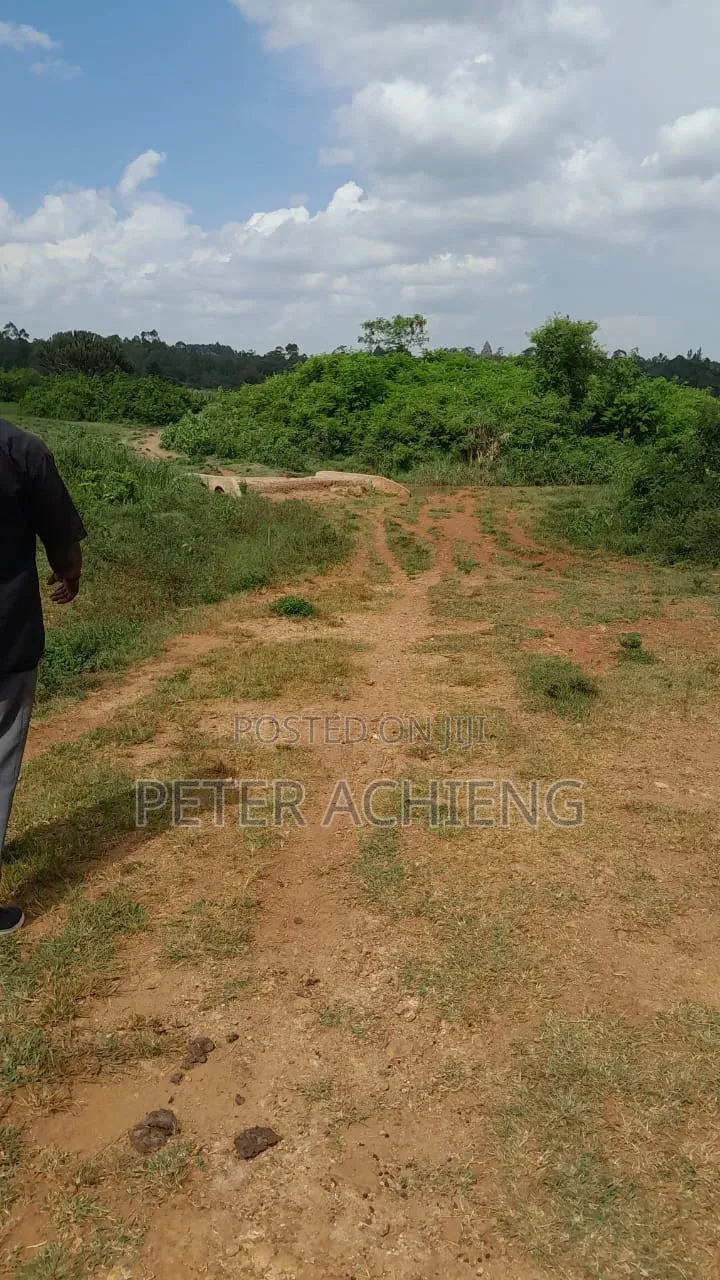 2 Acres in Alego Krindo With Sugar Plantations