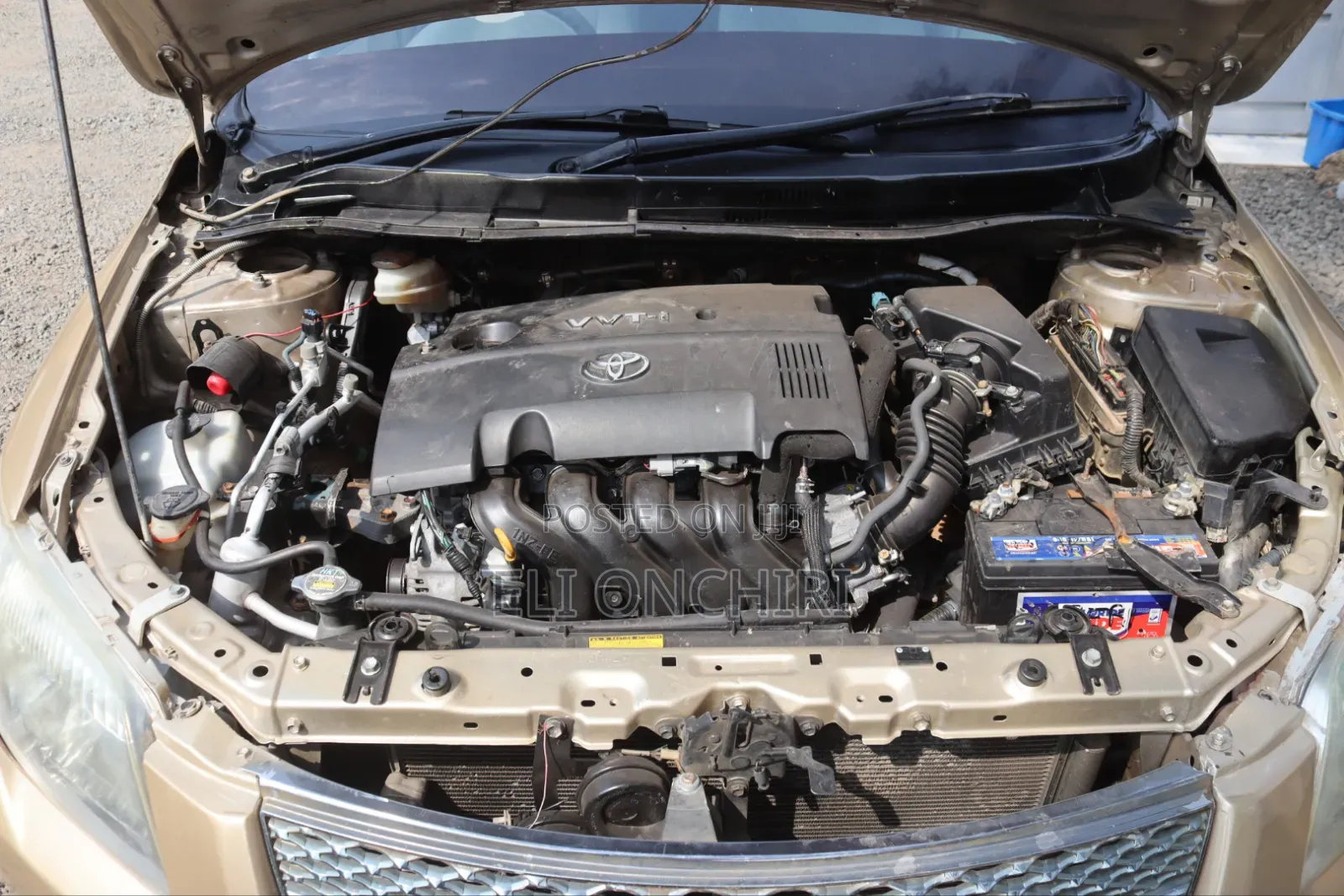 Toyota Axio 2008 Gold