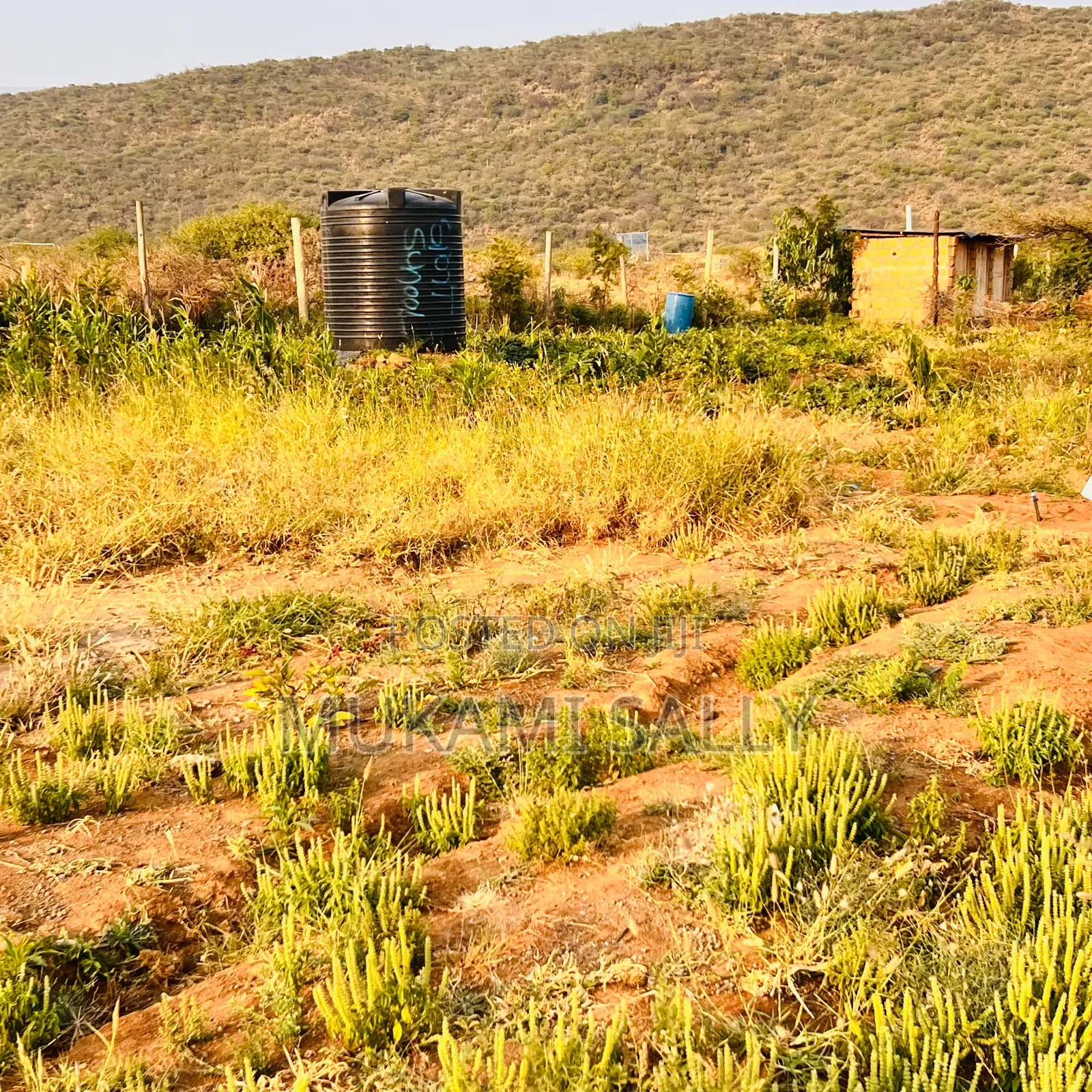 50*100 Plot for sale.in Ngong Suswa Road.