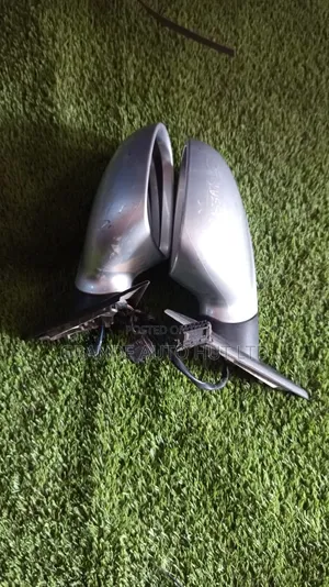 Passat Sidemirrors