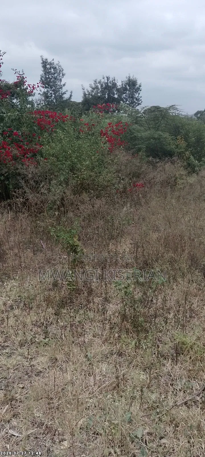 Plots for Sale in Kiserian Kahuho