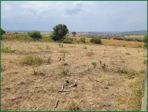 1 Acre for Sale in Narok Nairaserasa Near Nairaserasa Dispensary 1.1M