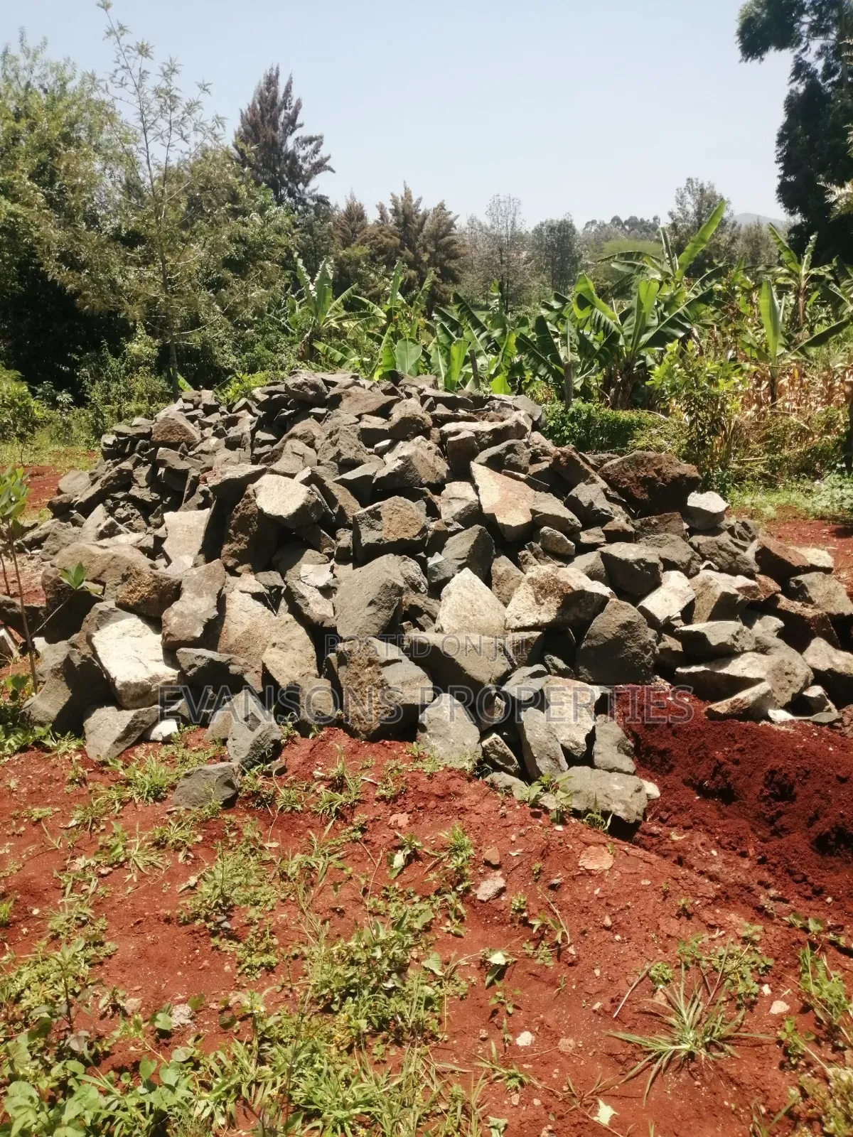 Constraction Equipment and Building Materials Supply