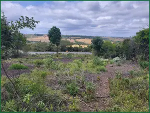 50×100 Plots for Sale in Narok Motonyi, 150–500 M From Tarmac—KSh