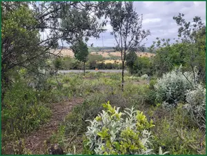 50×100 Plots for Sale in Narok Motonyi, 150–500 M From Tarmac—KSh