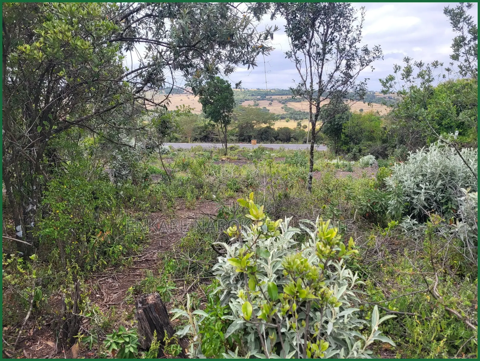 50×100 Plots for Sale in Narok Motonyi, 150–500 M From Tarmac—KSh
