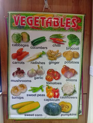 CBC School Charts- 18 Categories in the Photos- Choose!