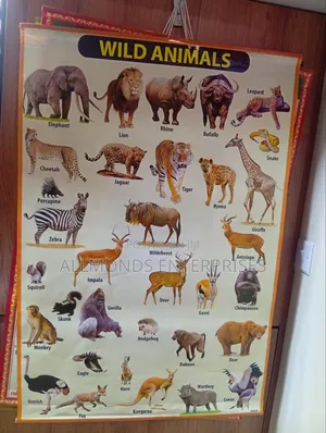 CBC School Charts- 18 Categories in the Photos- Choose!