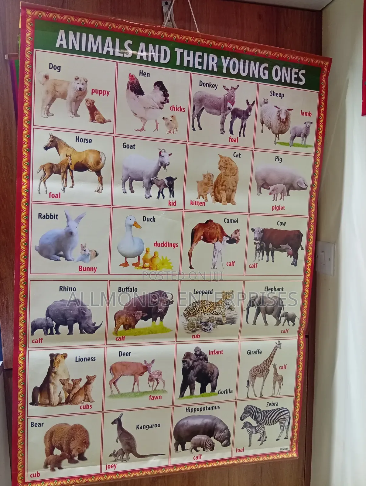 CBC School Charts- 18 Categories in the Photos- Choose!