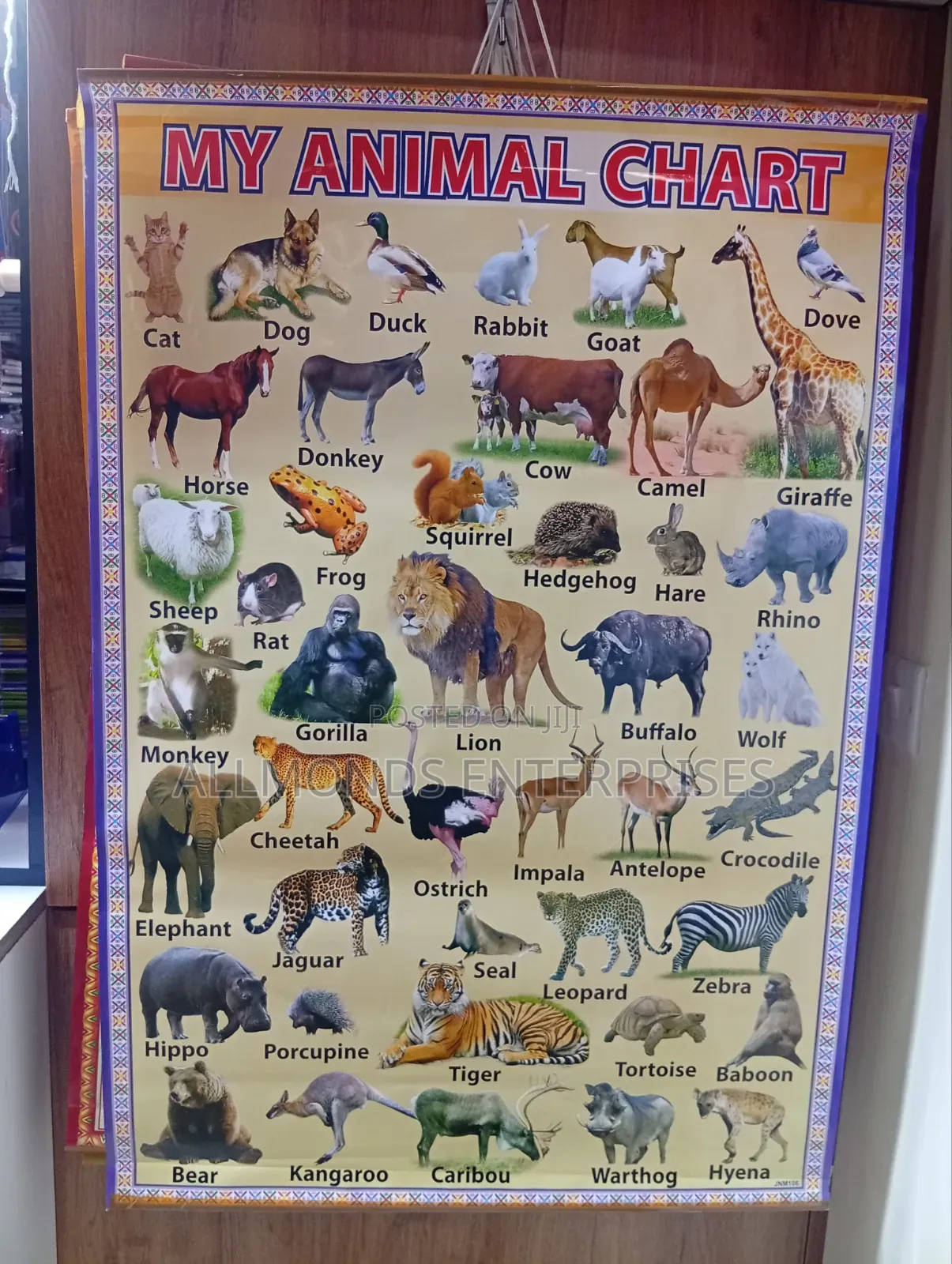 CBC School Charts- 18 Categories in the Photos- Choose!