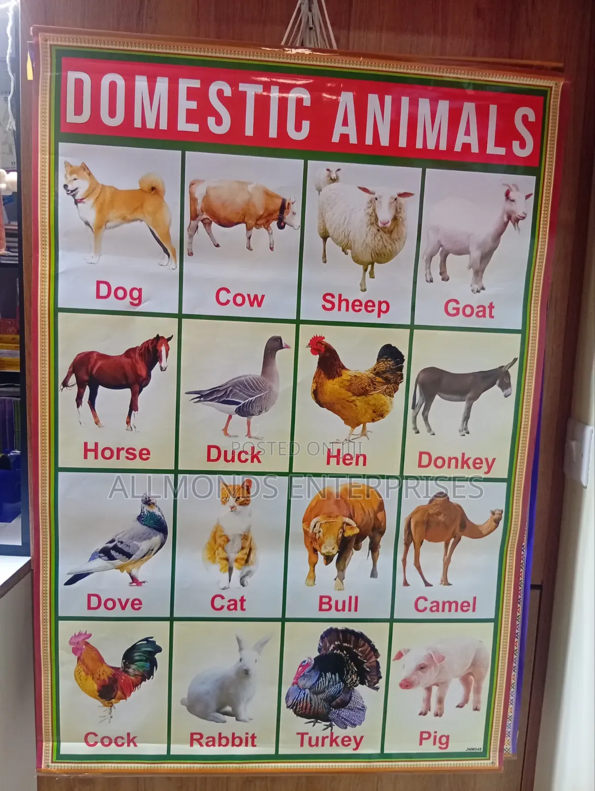 CBC School Charts- 18 Categories in the Photos- Choose!