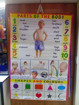 CBC School Charts- 18 Categories in the Photos- Choose!