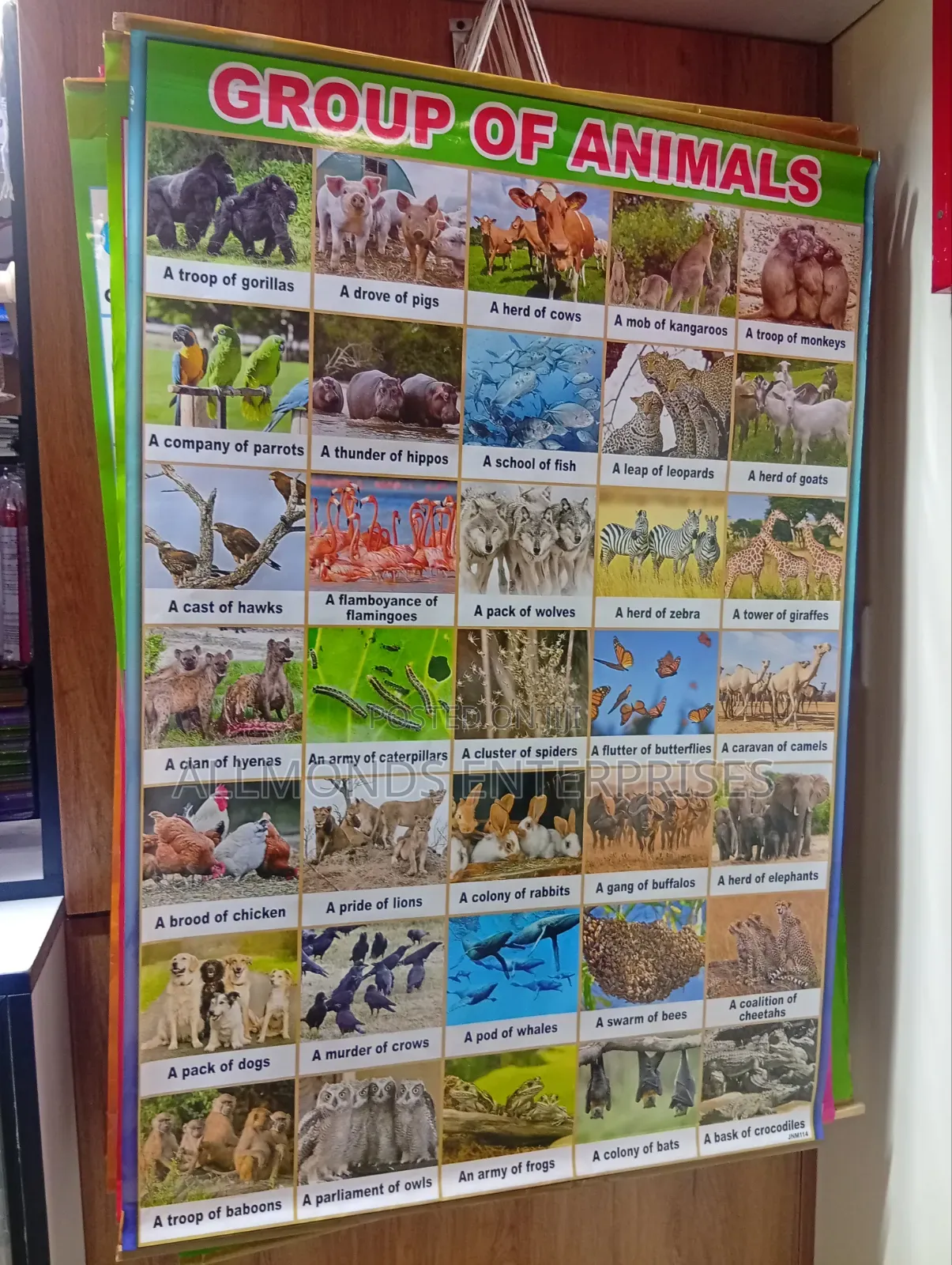 CBC School Charts- 18 Categories in the Photos- Choose!