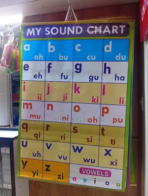 CBC School Charts- 18 Categories in the Photos- Choose!