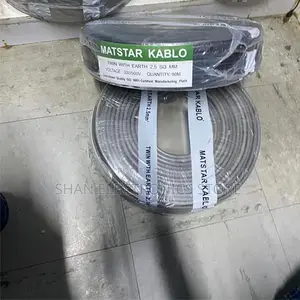 Heavy-Duty Insulation2.5mm300V/500VTwin With Earth Electrical Cable