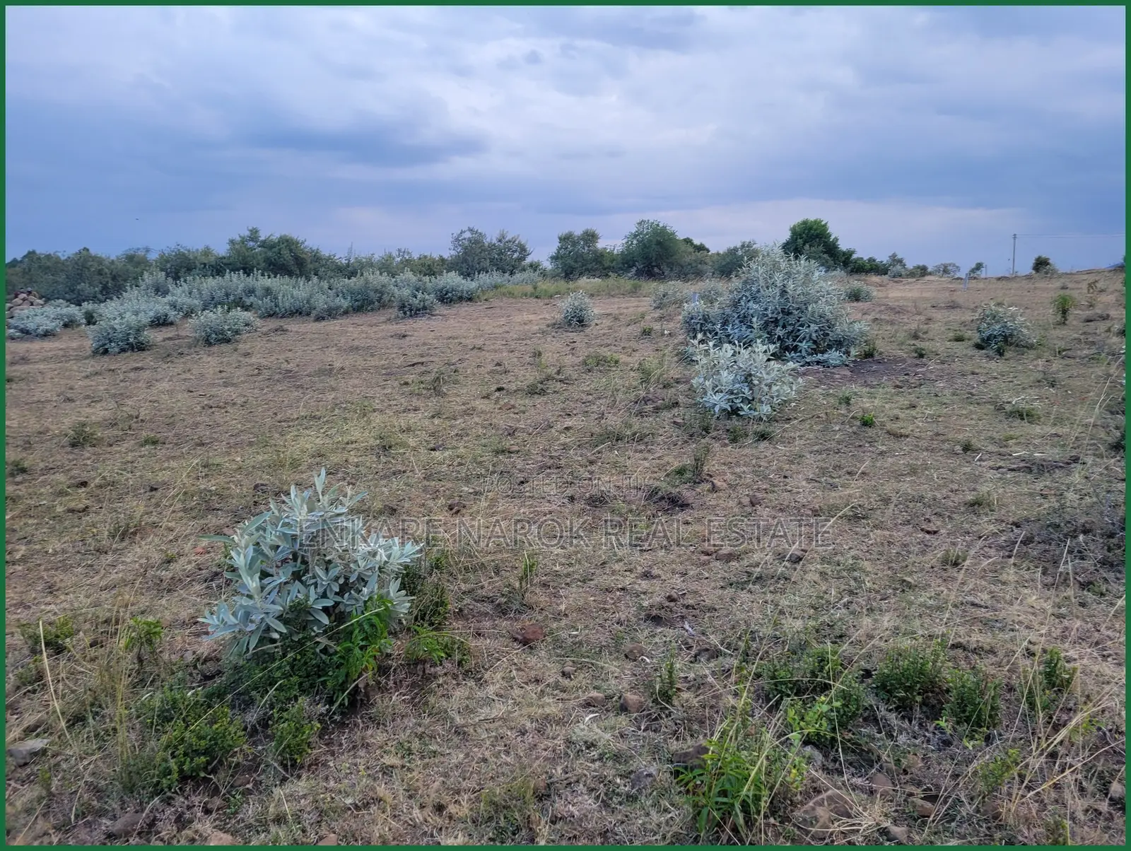 50×100 Plots for Sale in Narok Near Fr Ntaiyia School