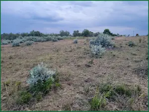 50×100 Plots for Sale in Narok Near Fr Ntaiyia School