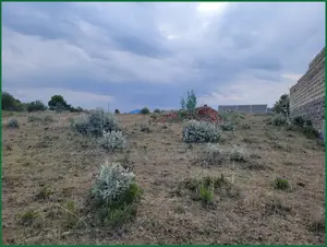 50×100 Plots for Sale in Narok Near Fr Ntaiyia School