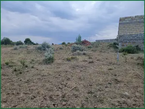 50×100 Plots for Sale in Narok Near Fr Ntaiyia School