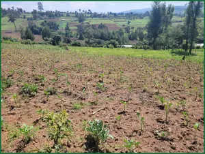 1.5 Acres for Sale in Enaibelibel, Narok, 500 M From Tarmac