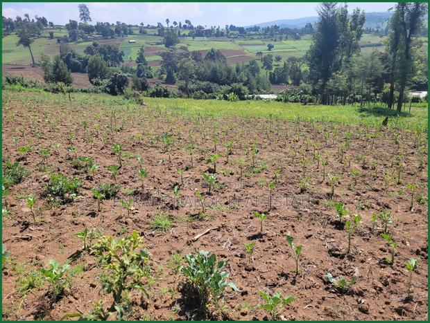 1.5 Acres for Sale in Enaibelibel, Narok, 500 M From Tarmac