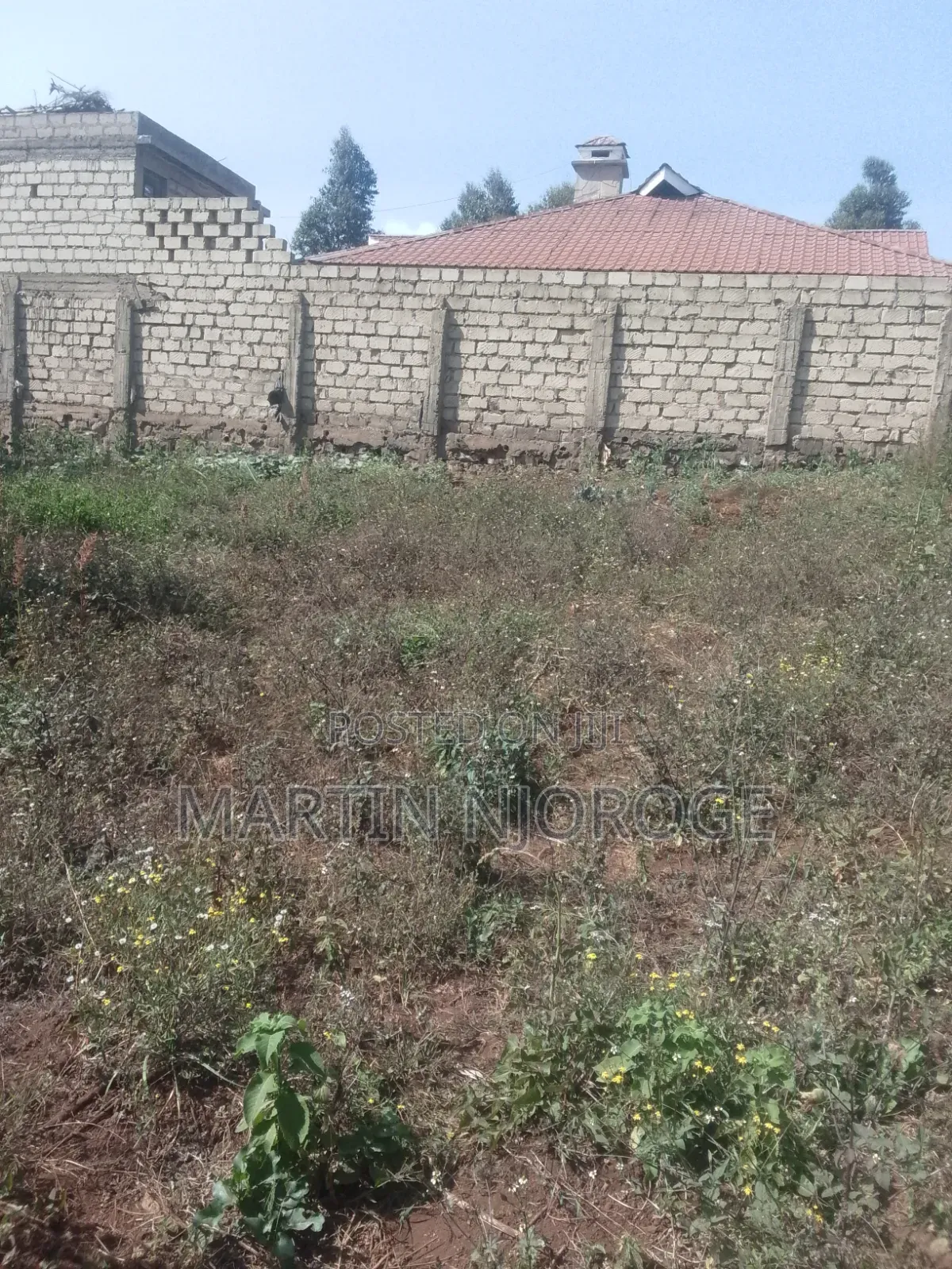 50 by 100 Kwambira