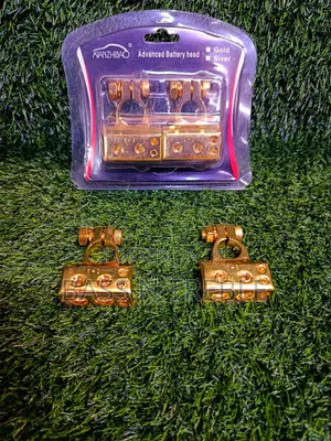 Advance Battery Terminal