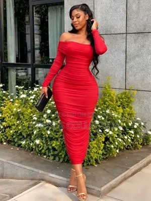 Elegant Mesh Dress