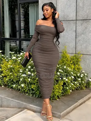 Elegant Mesh Dress