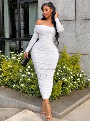Elegant Mesh Dress