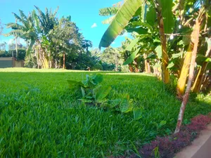 11bdrm Mansion in Runda for sale