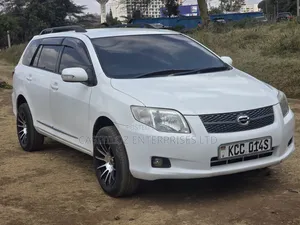 Toyota Corolla Fielder 2009 White