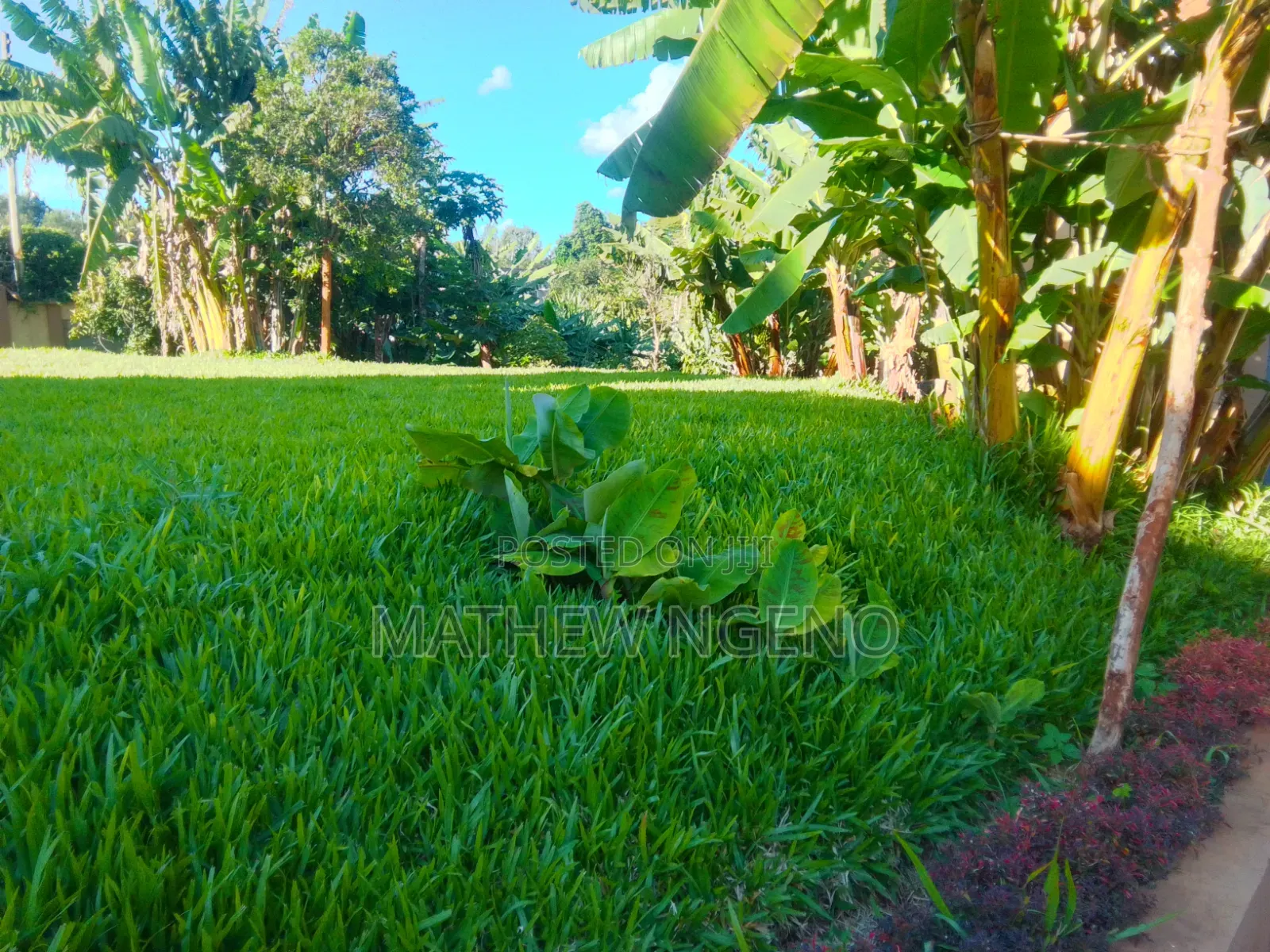 11bdrm Mansion in Runda for sale
