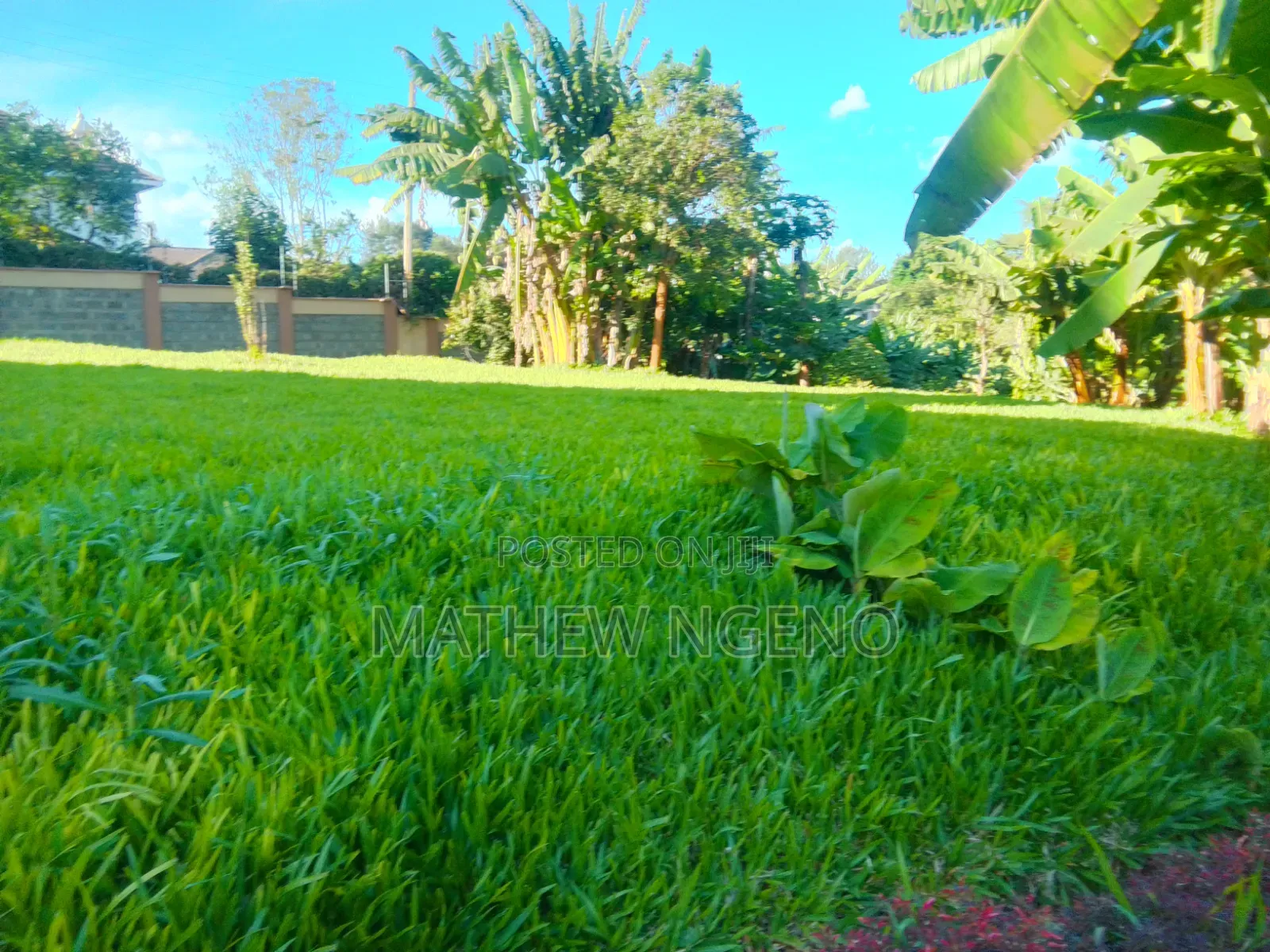 11bdrm Mansion in Runda for sale