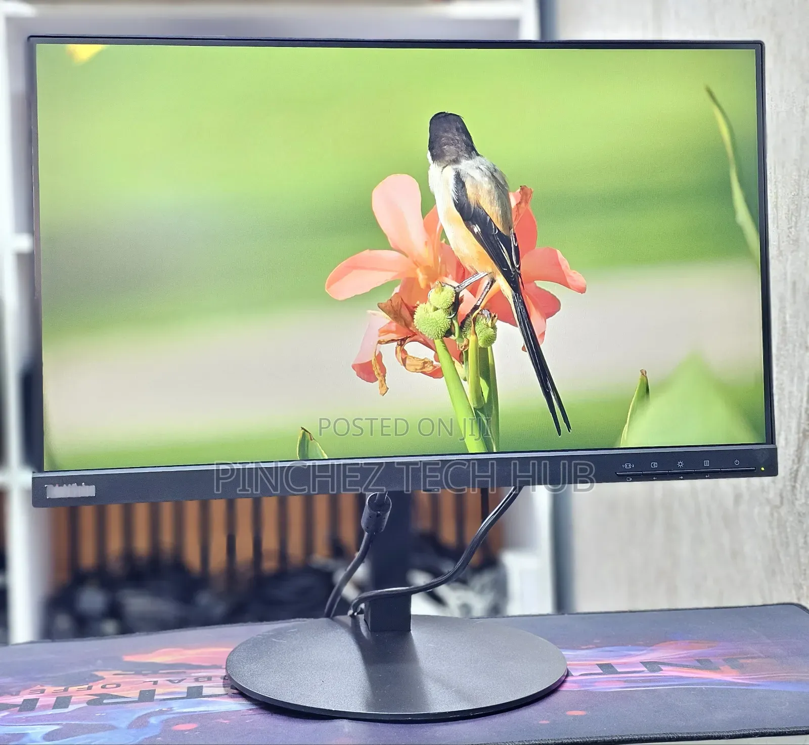 Lenovo T22i-10 
22 Inches Frameless Monitor