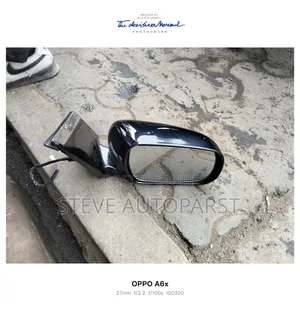 Harrier 240 Side Mirror