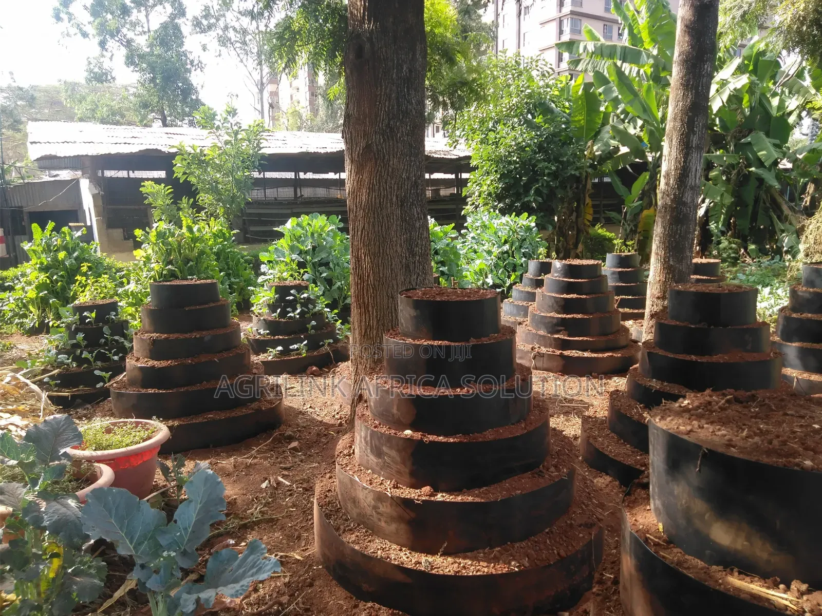Mult Storey Gardens