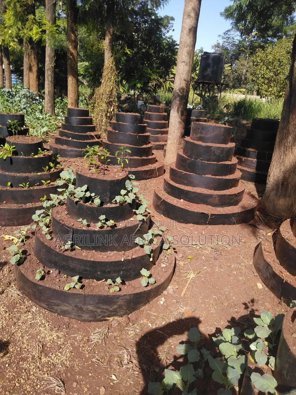 Mult Storey Gardens