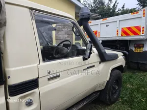 Toyota Land Cruiser 2011 Beige